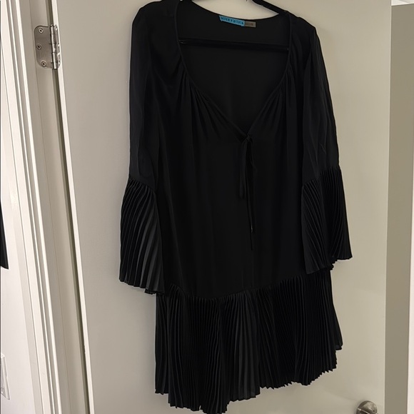 Alice + Olivia Dresses & Skirts - Alice + Olivia Sheer Black Pleated Dress sz L
